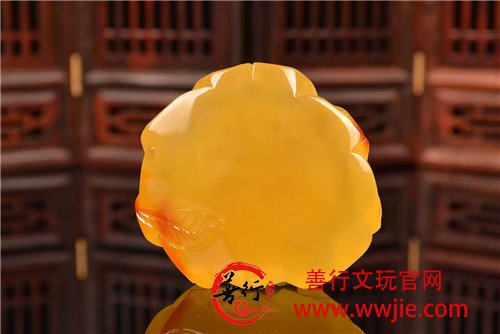 精工玫瑰在岁月重散发淡淡馨香