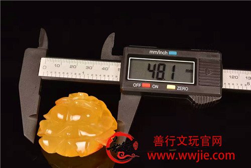 精工玫瑰在岁月重散发淡淡馨香