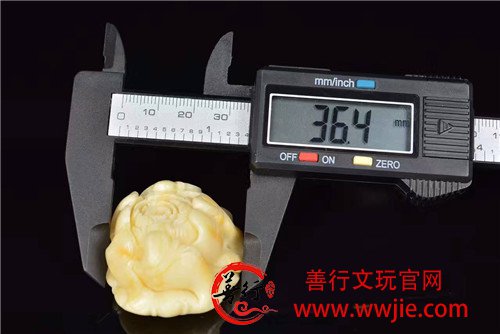 极品白蜜牡丹花，艳冠群芳不媚俗