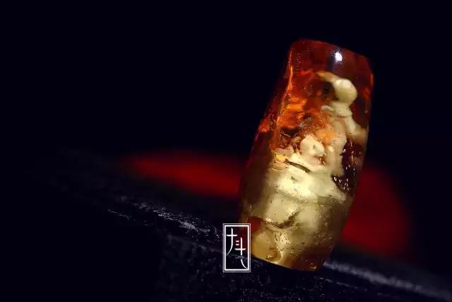 金绞蜜如此的多变、诡谲，让人看之不厌！