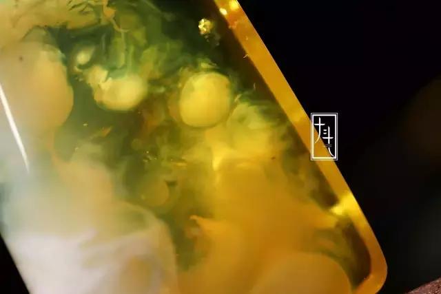 金绞蜜如此的多变、诡谲，让人看之不厌！