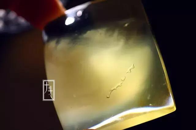 金绞蜜如此的多变、诡谲，让人看之不厌！