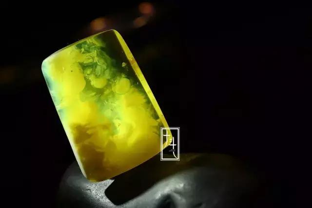 金绞蜜如此的多变、诡谲，让人看之不厌！