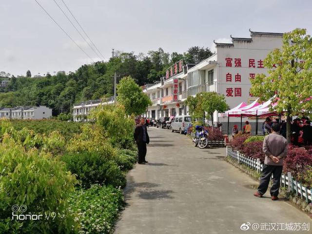 湖北竹山：绿茶 圣水 绿松石