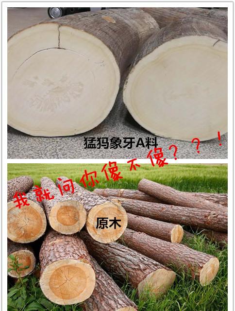 猛犸象牙深度解析—揭秘象牙鉴定的最大骗局