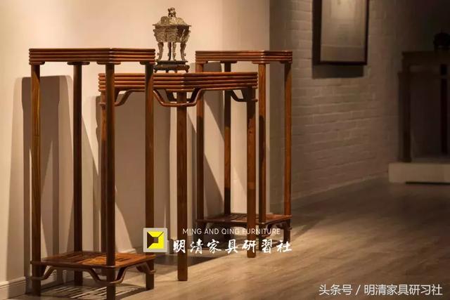 白酸枝：有望成为“黄花梨”的接班木材
