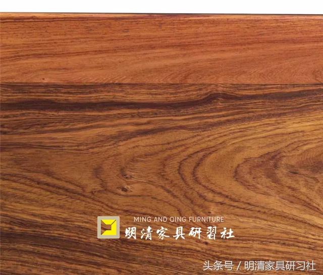 白酸枝：有望成为“黄花梨”的接班木材