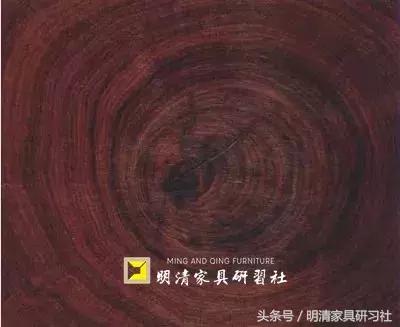 白酸枝：有望成为“黄花梨”的接班木材