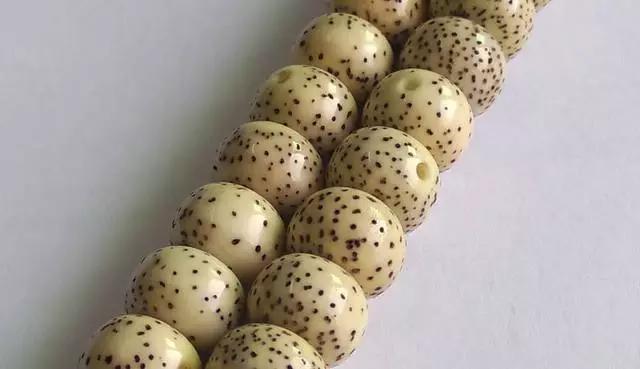 星月菩提知识｜决定星月菩提品质的十大因素！