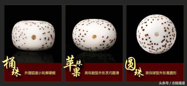 如何挑选星月菩提