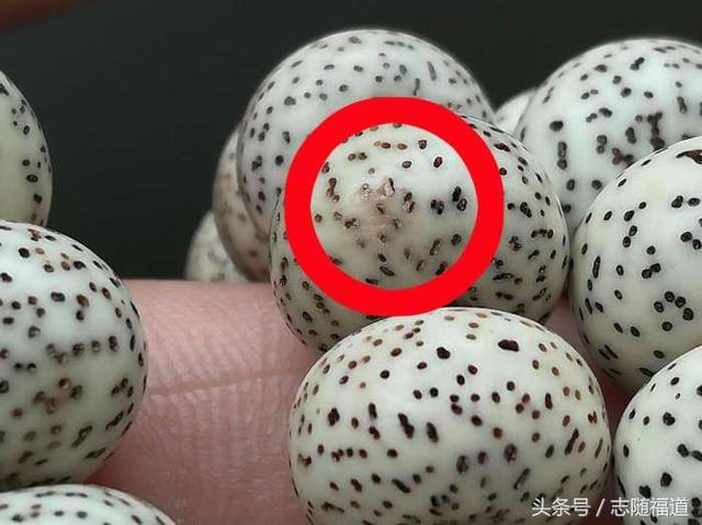 如何挑选星月菩提