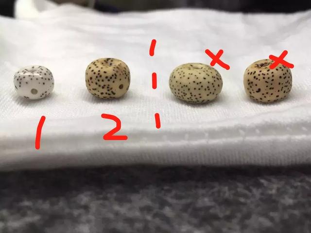 挑选星月菩提的心得。