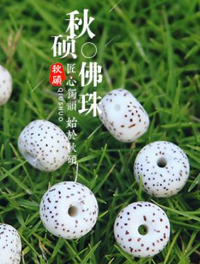认识星月菩提｜星月菩提的常见问题