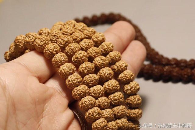 金刚菩提大讲堂之金刚菩提开裂
