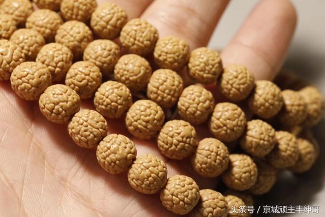金刚菩提大讲堂之金刚菩提盘玩