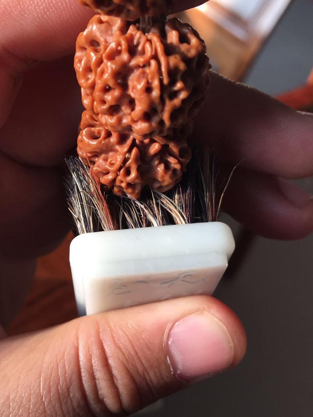 金刚菩提一生的伴侣！
