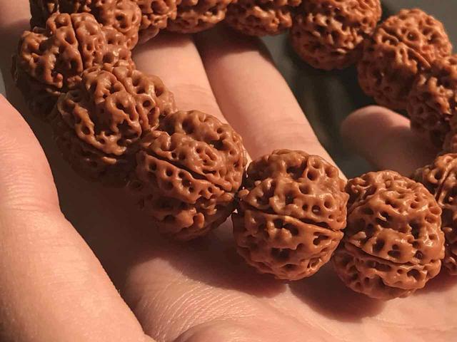 金刚菩提一生的伴侣！