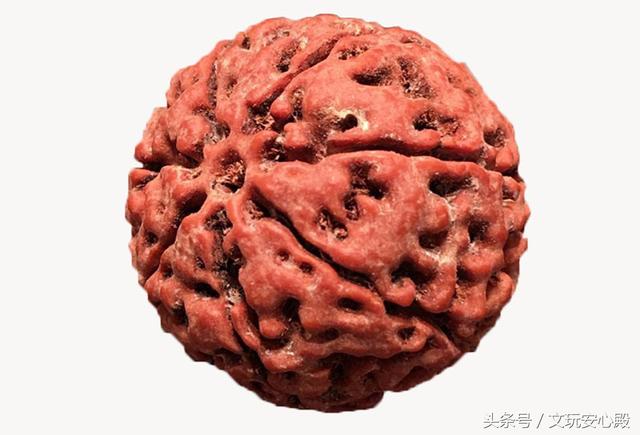 带您看文玩，金刚菩提篇，怎么看？怎么买？怎么玩？
