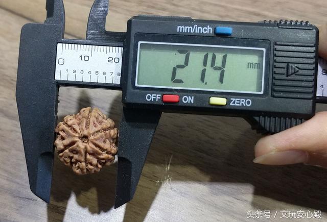 带您看文玩，金刚菩提篇，怎么看？怎么买？怎么玩？