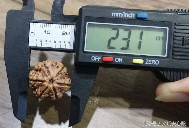 带您看文玩，金刚菩提篇，怎么看？怎么买？怎么玩？