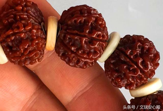 带您看文玩，金刚菩提篇，怎么看？怎么买？怎么玩？