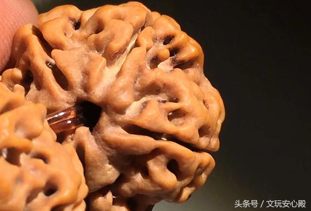 带您看文玩，金刚菩提篇，怎么看？怎么买？怎么玩？