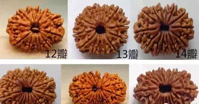 夏天最适合盘金刚菩提