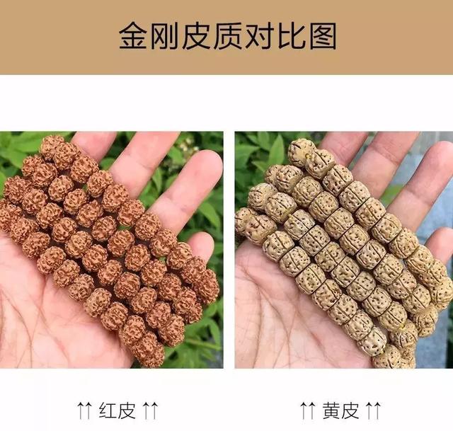 夏天最适合盘金刚菩提
