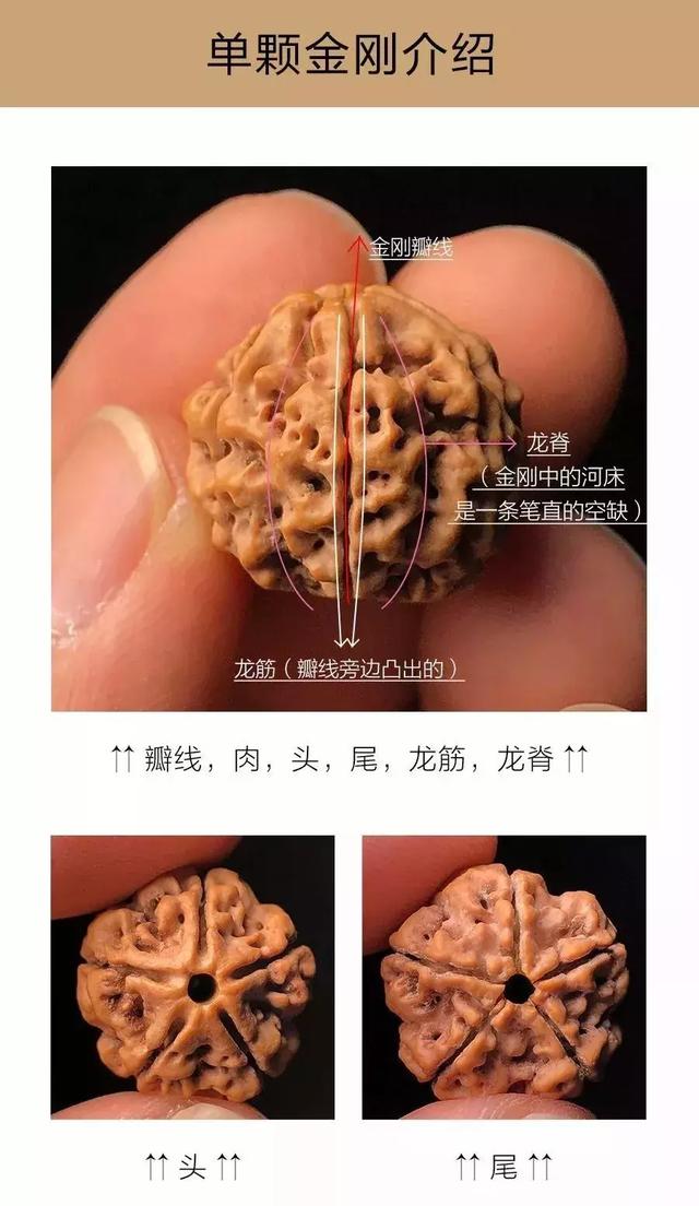 夏天最适合盘金刚菩提