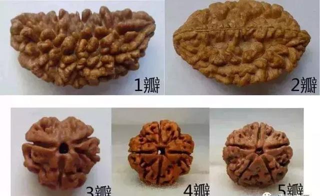 夏天最适合盘金刚菩提