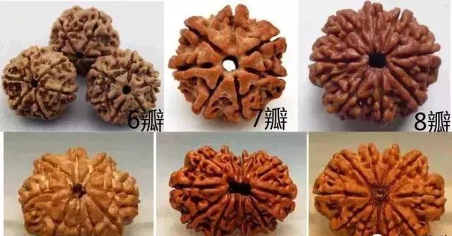 夏天最适合盘金刚菩提
