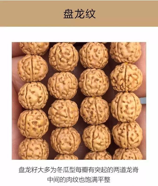 夏天最适合盘金刚菩提