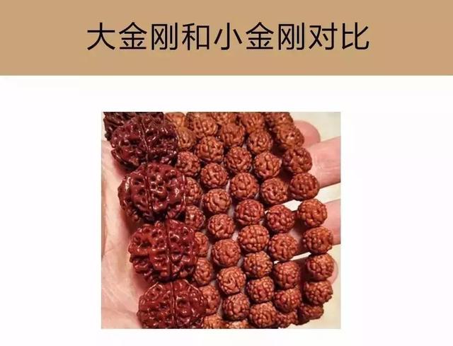 夏天最适合盘金刚菩提
