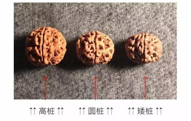 夏天最适合盘金刚菩提