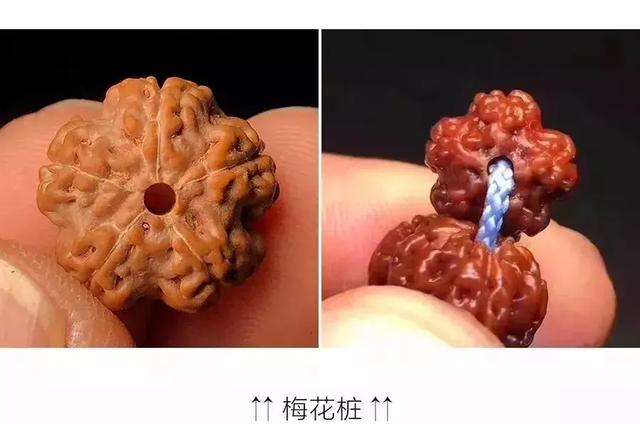 夏天最适合盘金刚菩提