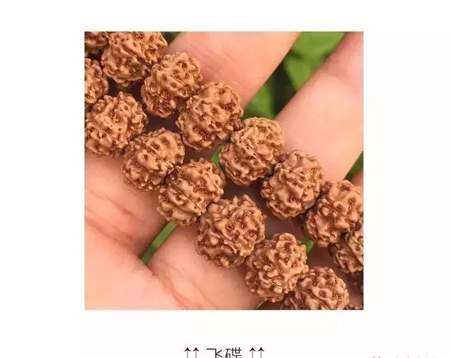 夏天最适合盘金刚菩提