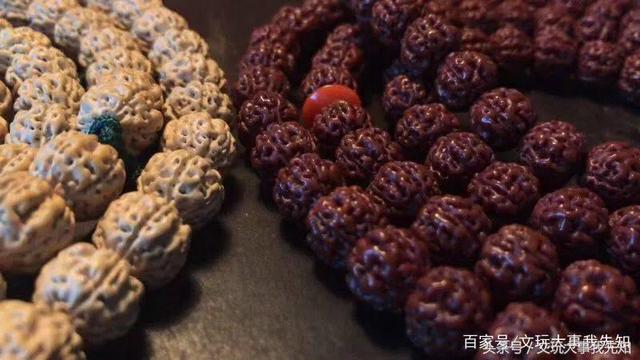金刚菩提的一些知识