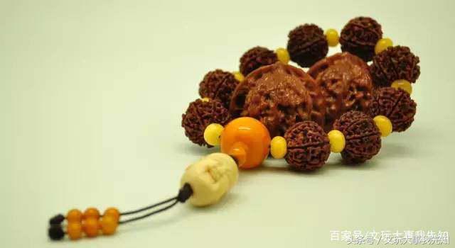 金刚菩提的一些知识
