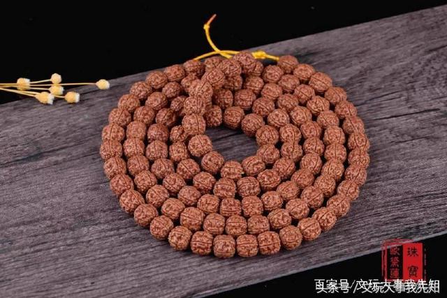 金刚菩提的一些知识
