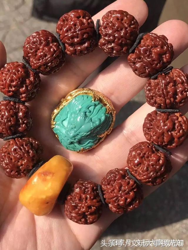 金刚菩提的一些知识