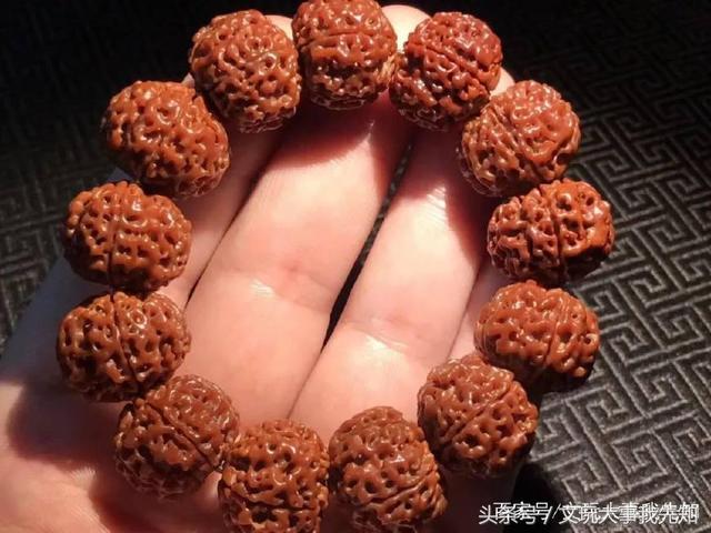金刚菩提的一些知识