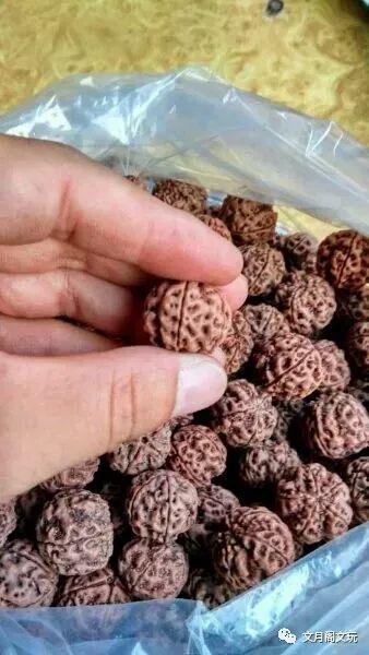 金刚菩提商家，肺腑之言：我想大声告诉你
