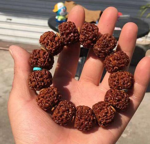 金刚菩提何日能红？