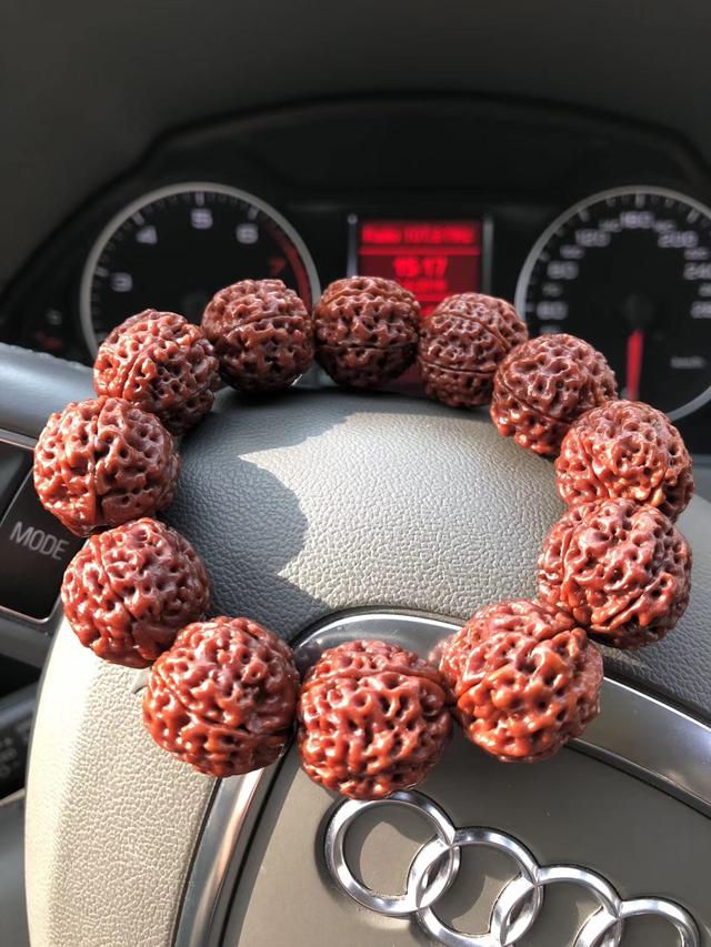 菩提要知道——金刚菩提看这里！
