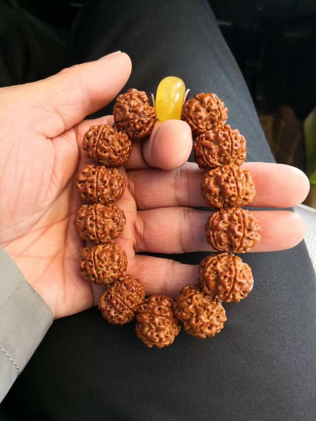 菩提要知道——金刚菩提看这里！