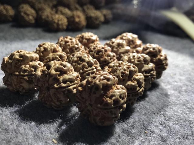 菩提要知道——金刚菩提看这里！