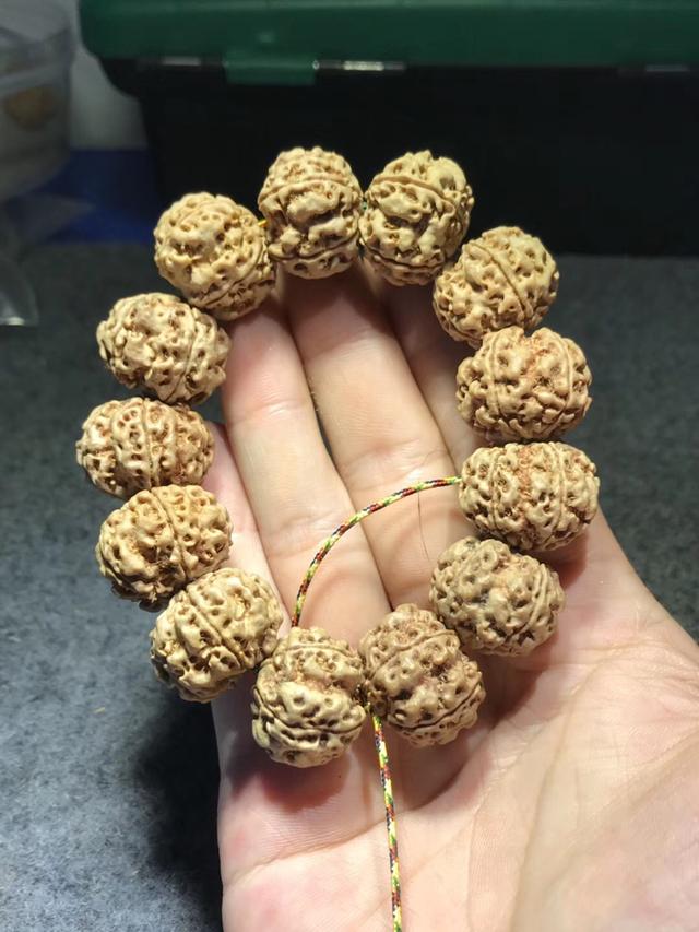 菩提要知道——金刚菩提看这里！
