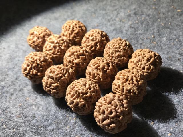 菩提要知道——金刚菩提看这里！