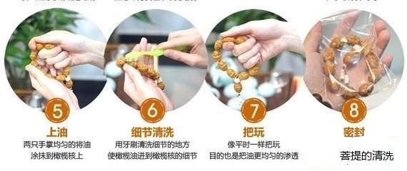 金刚菩提的保养