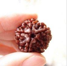 金刚菩提的保养